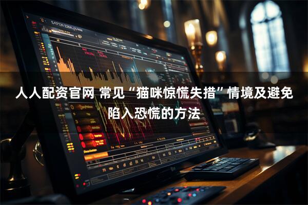 人人配资官网 常见“猫咪惊慌失措”情境及避免陷入恐慌的方法