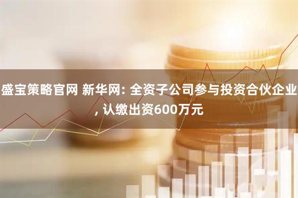 盛宝策略官网 新华网: 全资子公司参与投资合伙企业, 认缴出资600万元