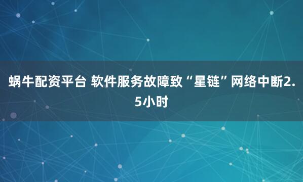 蜗牛配资平台 软件服务故障致“星链”网络中断2.5小时