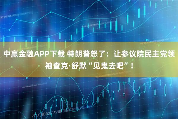 中赢金融APP下载 特朗普怒了：让参议院民主党领袖查克·舒默“见鬼去吧”！