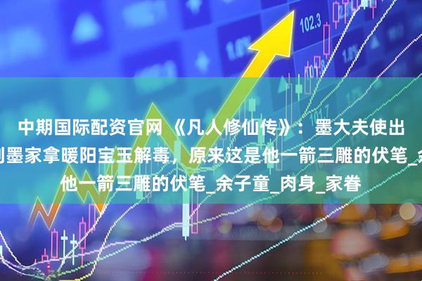 中期国际配资官网 《凡人修仙传》：墨大夫使出魔银手，让韩立到墨家拿暖阳宝玉解毒，原来这是他一箭三雕的伏笔_余子童_肉身_家眷