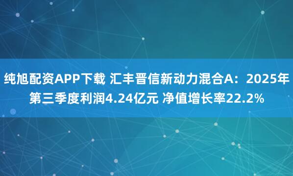 纯旭配资APP下载 汇丰晋信新动力混合A:2025年第三季度利润4.24亿元 净值增长率22.2%